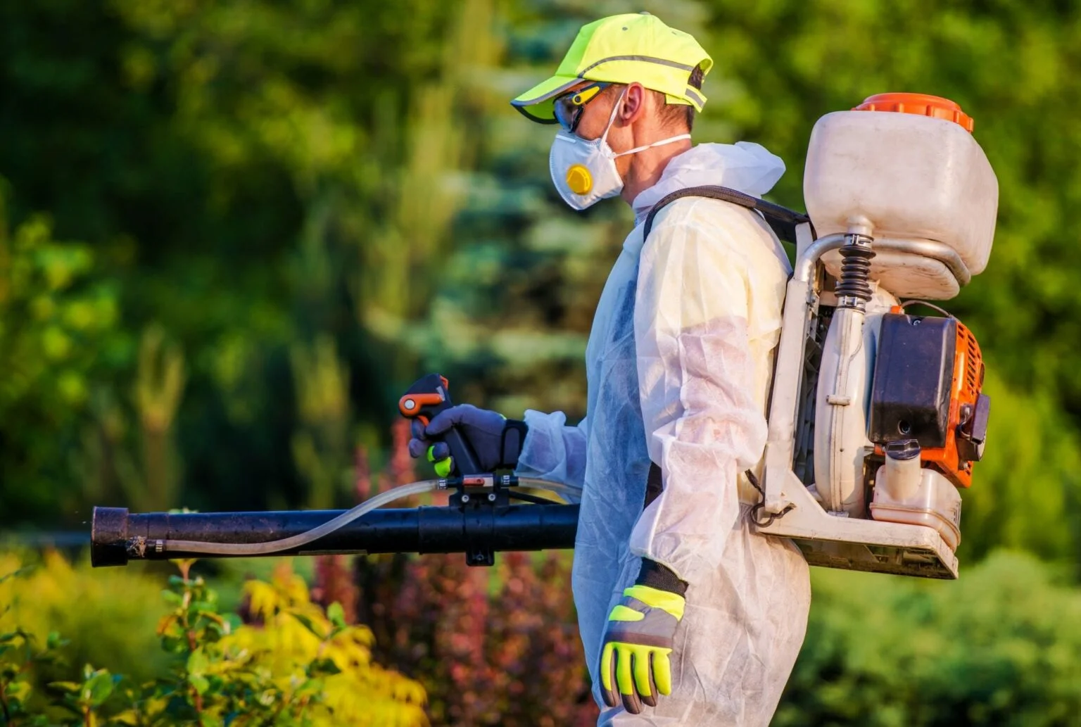 lets talk for pest problem