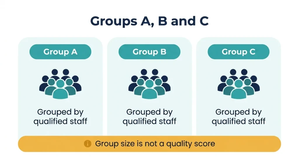 Dubai Municipality pest control company groups A, B and C explained