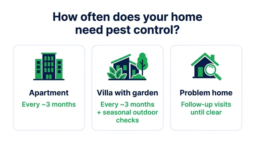 How often homes need pest control in Dubai: apartments, villas and homes with infestations