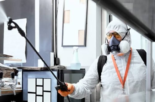 desinfection service a person spraying in home for pest
